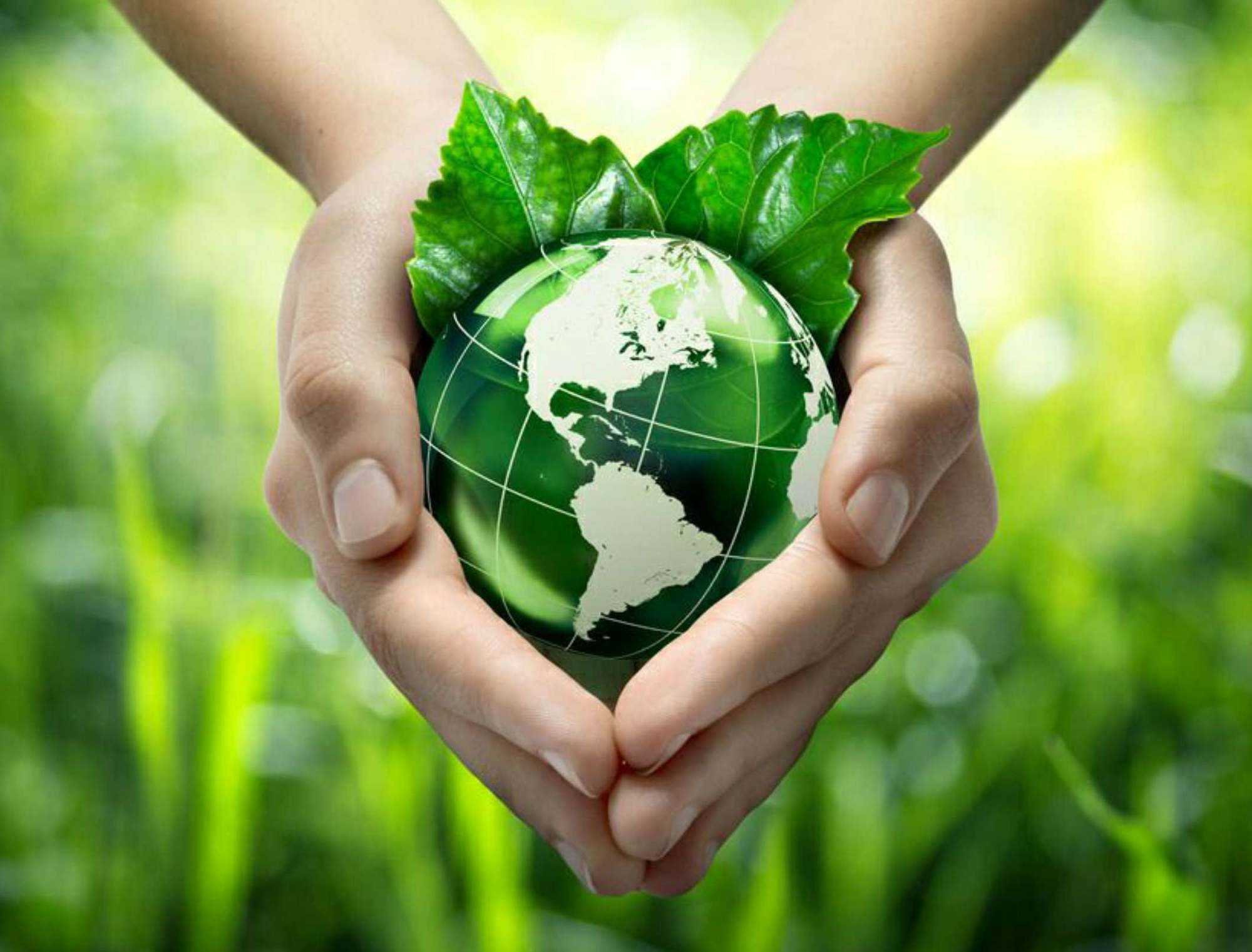 九游官网下载电脑版-绿色长跑：环保与健康的结合的简单介绍