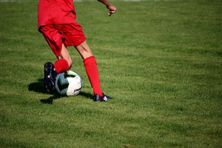 九游娱乐(jiuyou)官方网站-英超青训体系中情绪调节训练对青少年比赛焦虑的控制作用，英超青训球员定义