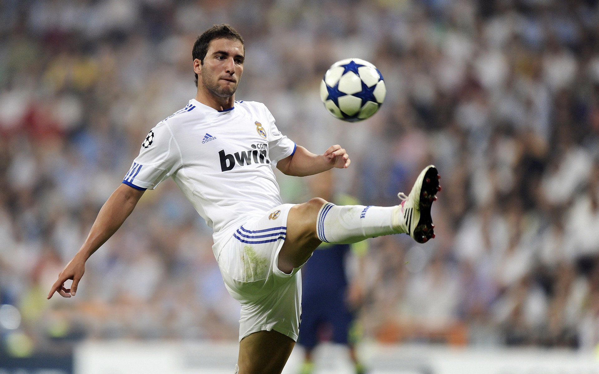 “华金·托比利亚的领导力与团队精神,帮助美洲狮队建立强大战术基础”